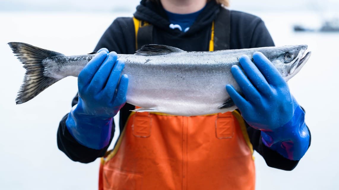 A fisher in orange waders holding a whole wild salmon